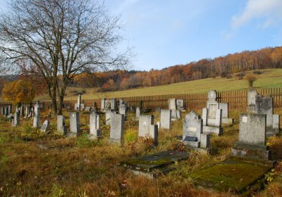 Sedláček Hugo, 2009