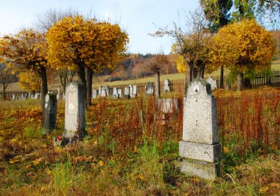 Sedláček Hugo, 2009