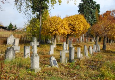 Sedláček Hugo, 2009