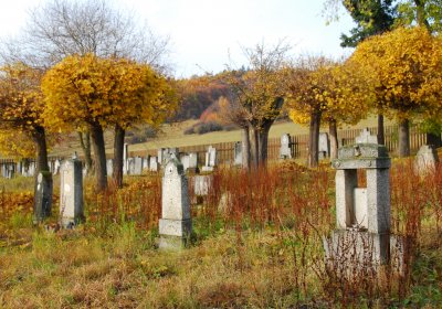 Sedláček Hugo, 2009