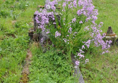 Louchov, Omnium, 2020