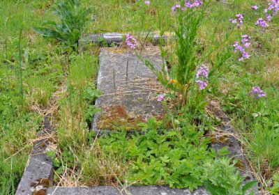 Louchov, Omnium, 2020