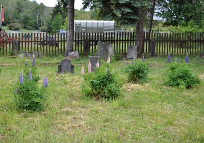 Louchov, Omnium, 2020