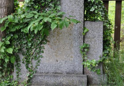 Louchov, Omnium, 2020