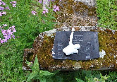 Louchov, Omnium, 2020