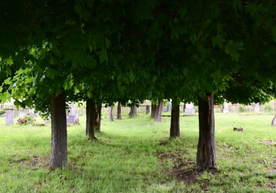 Louchov, Omnium, 2020