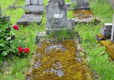 Louchov, Omnium, 2020