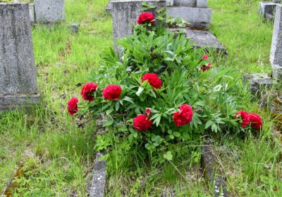 Louchov, Omnium, 2020