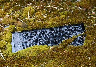 Louchov, Omnium, 2020