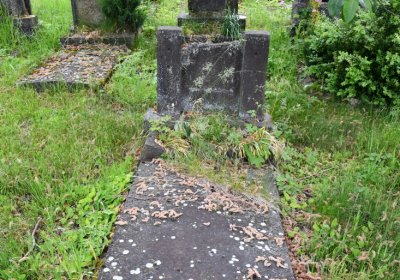 Louchov, Omnium, 2020