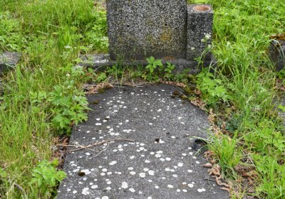 Louchov, Omnium, 2020