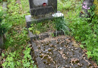 Louchov, Omnium, 2020