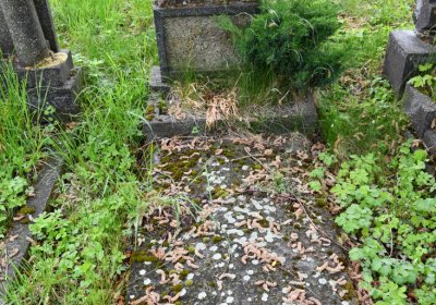 Louchov, Omnium, 2020