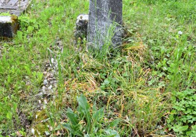 Louchov, Omnium, 2020