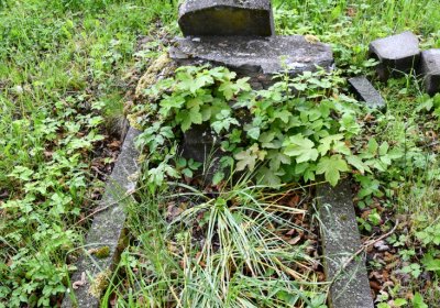 Louchov, Omnium, 2020