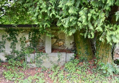 Louchov, Omnium, 2020