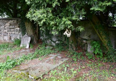 Louchov, Omnium, 2020