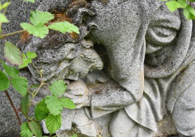 Louchov, Omnium, 2020