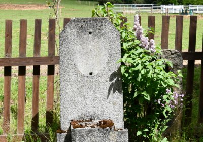 Louchov, Omnium, 2020