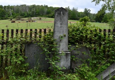 Louchov, Omnium, 2020