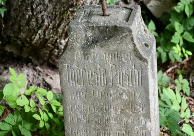 Louchov, Omnium, 2020