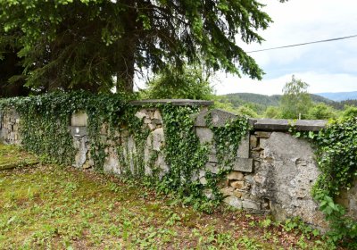 Louchov, Omnium, 2020