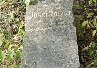 Sedláček Hugo, 2016