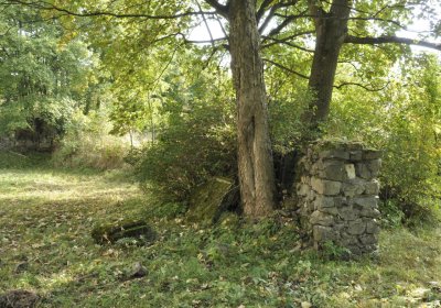 Sedláček Hugo, 2016