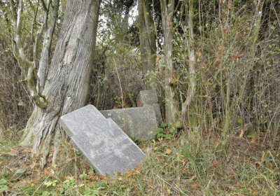 Sedláček Hugo, 2015