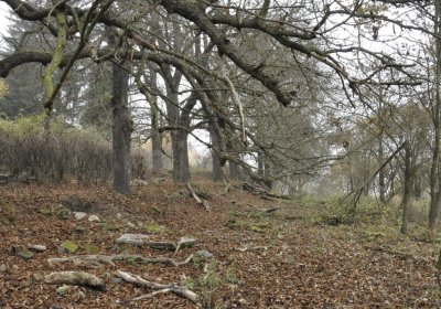 Sedláček Hugo, 2015