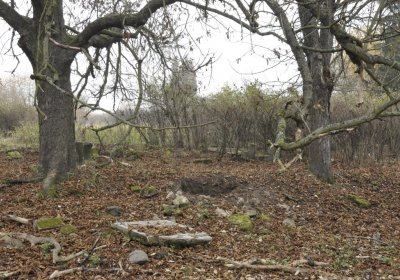 Sedláček Hugo, 2015