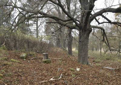 Sedláček Hugo, 2015