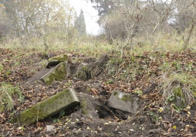 Sedláček Hugo, 2015