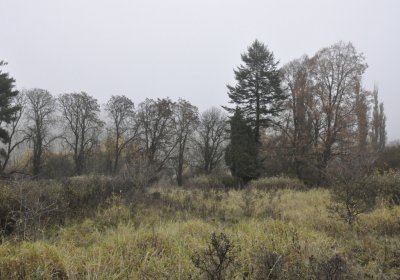 Sedláček Hugo, 2015