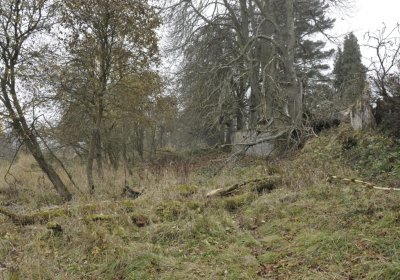 Sedláček Hugo, 2015