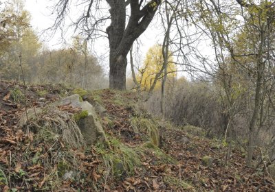 Sedláček Hugo, 2015