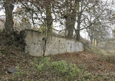 Sedláček Hugo, 2015