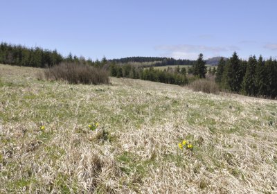 Sedláček Hugo, 2016