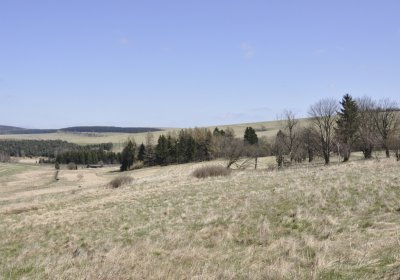 Sedláček Hugo, 2016