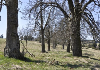 Sedláček Hugo, 2016