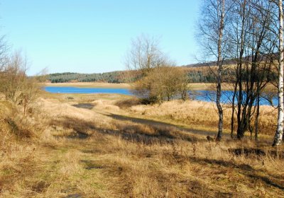 Děd Stanislav, 2009