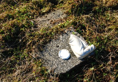 Děd Stanislav, 2009