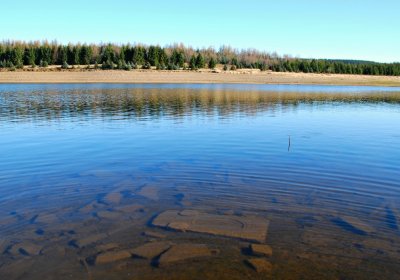 Děd Stanislav, 2009