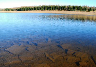 Děd Stanislav, 2009