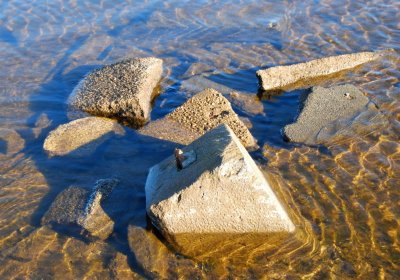 Děd Stanislav, 2009