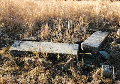 Děd Stanislav, 2009