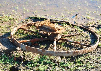 Děd Stanislav, 2009