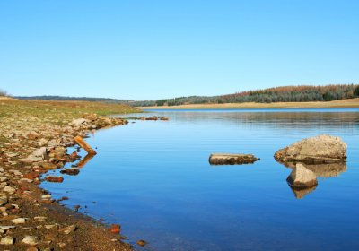 Děd Stanislav, 2009