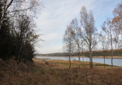 Přísečnice, Omnium, 2020