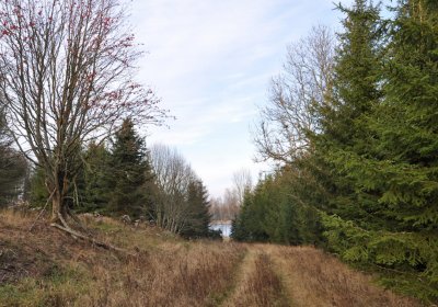 Přísečnice, Omnium, 2020